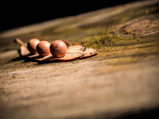 배터리파크 워터프론트 콘도 · 배터리파크 하버 스위트